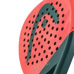 Head Radical Team 2026