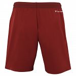 Tecnifibre Team Shorts Cardinal