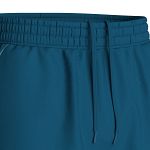 Pallap Men's Shorts Petrol Blue / Cyan Blue