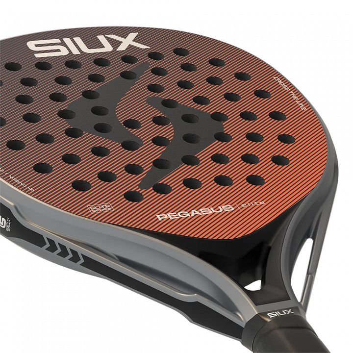 Siux Pegasus Elite 4
