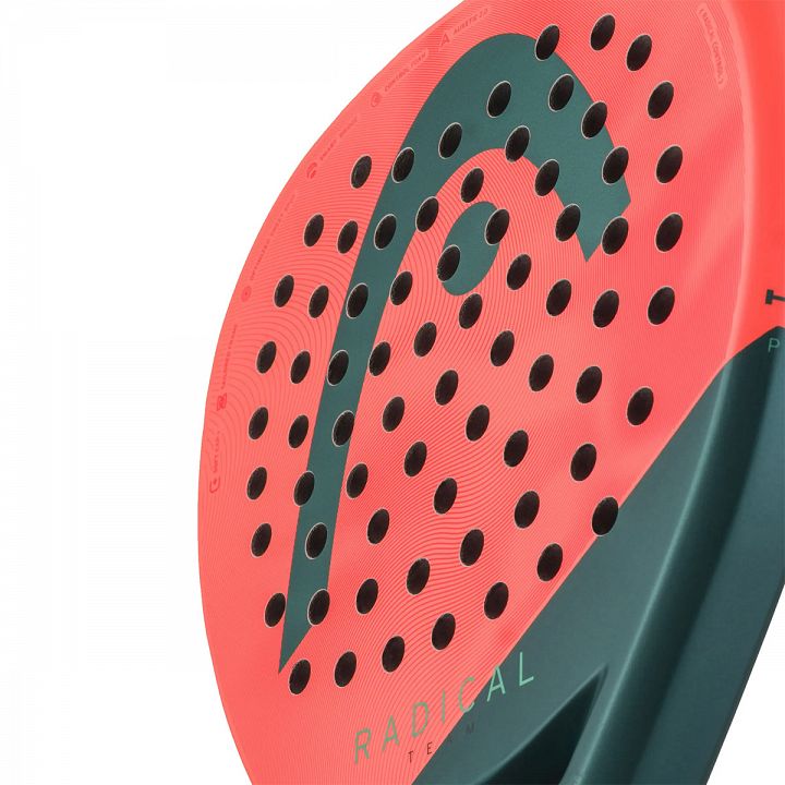 Head Radical Team 2026